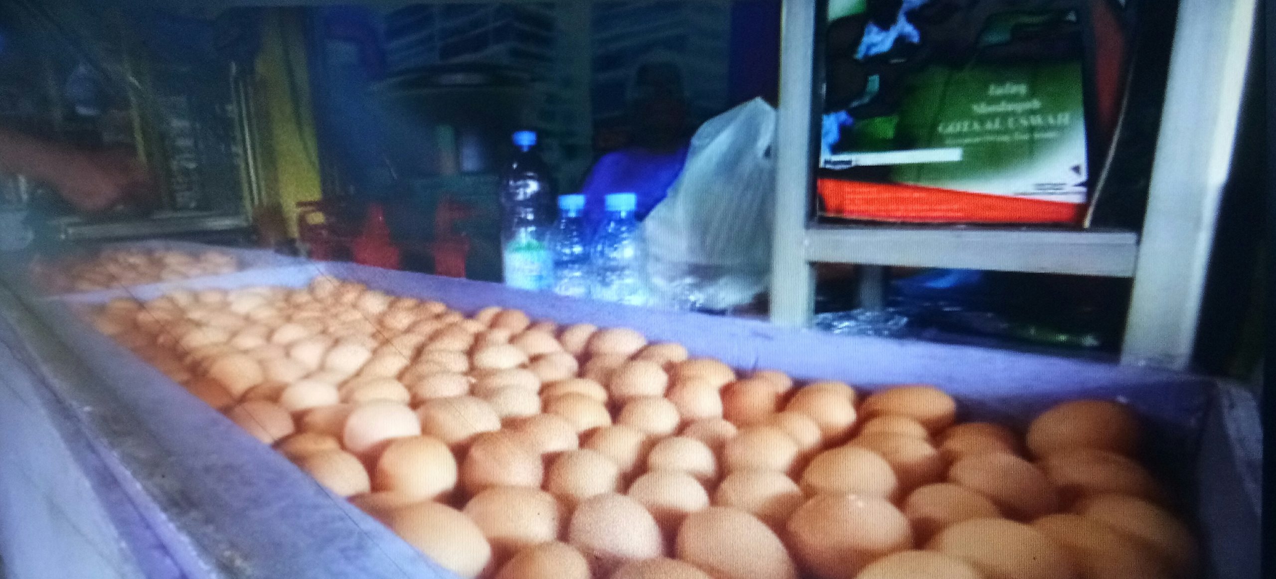 Telur Puyuh Pun Juga Ikut Naik Rp40 ribu per kilogram