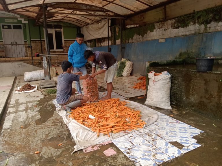 Diskoperdagin Sebut Harga Sayuran Mahal karena Petani Memilih Menjual Keluar Cianjur