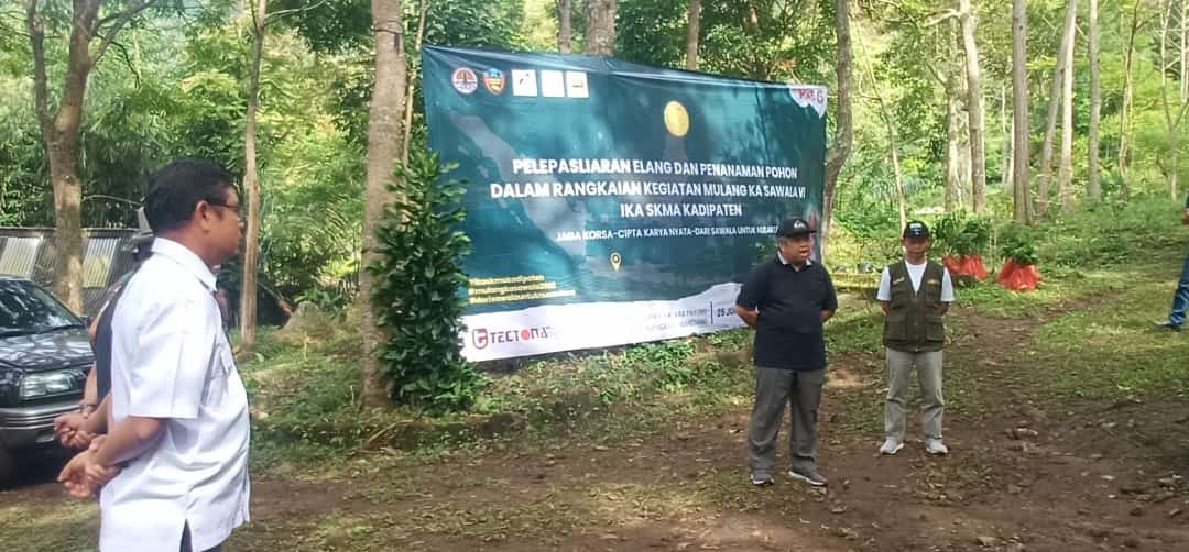 Spilornis cheela Dilepasliarkan di Hutan Daerah Kiarapayung Sumedang