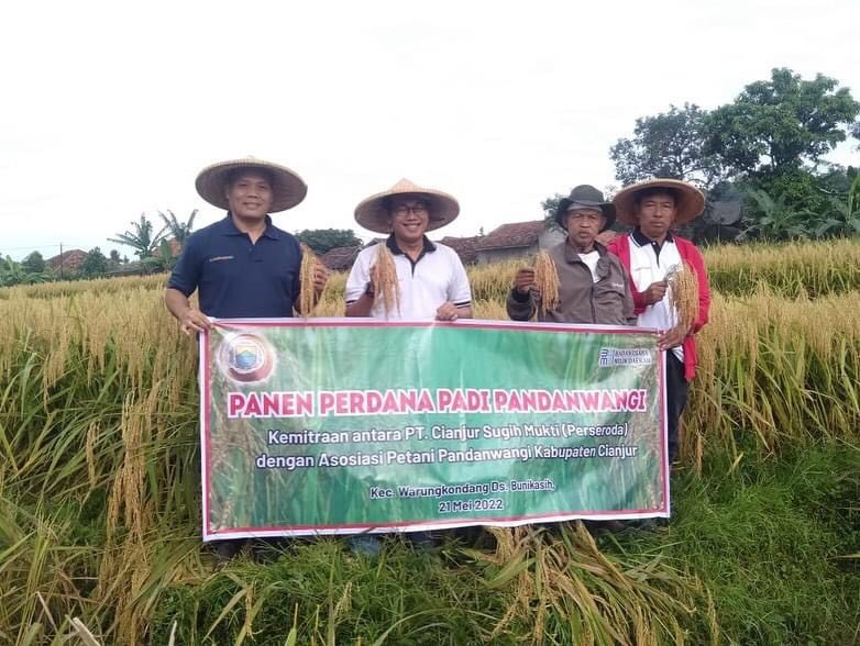 Dukung Program Petani Manjur, PT CSM Siap Jadi Off-taker