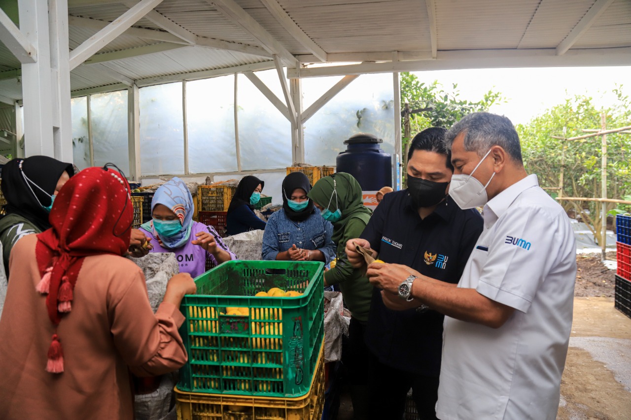 Fondasi Ekonomi Kerakyatan, Holding Ultra Mikro Tingkatkan Kesejahteraan Masyarakat